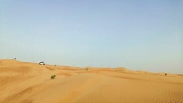 Photo Safari vehicle