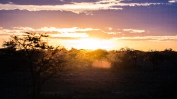 Photo Safari sunset