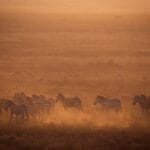 Photo Serengeti National Park