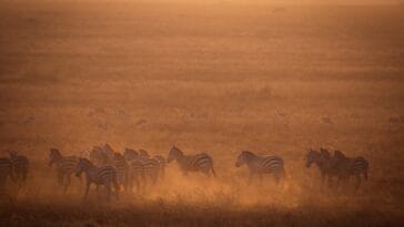 Photo Serengeti National Park