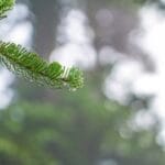 Photo Beautiful landscape