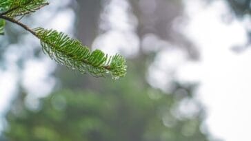 Photo Beautiful landscape