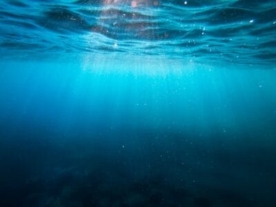 Photo Underwater safari