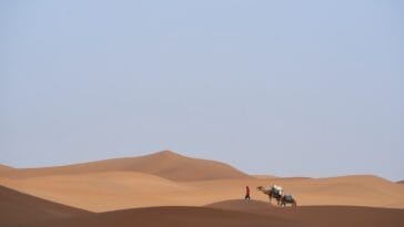 Photo Camel caravan