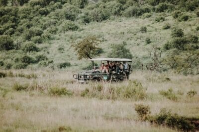 Photo Safari jeep