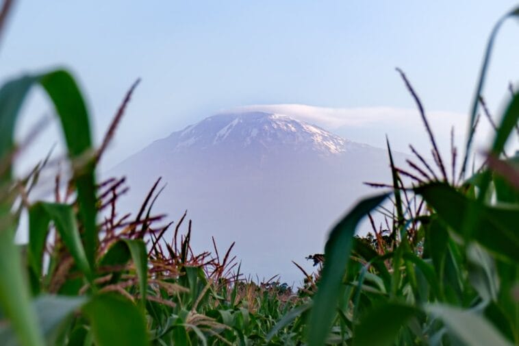 Photo Kilimanjaro summit