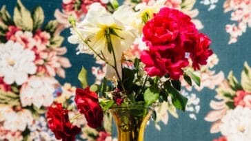 Photo Colorful textiles