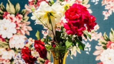 Photo Colorful textiles