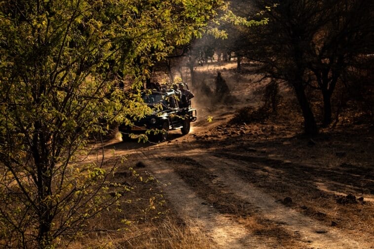 Photo Safari jeep