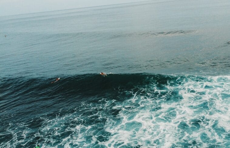 Photo Ocean Safari