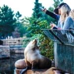 Photo Wildlife encounters