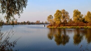 Photo Adrenaline rush