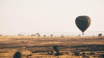 Photo Safari landscape