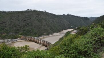 Photo Wilderness skills