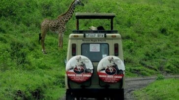 Photo Safari vehicle