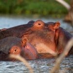 Photo Great Rift Valley