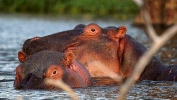 Photo Great Rift Valley