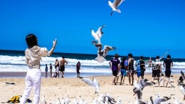 Photo Wildlife encounter