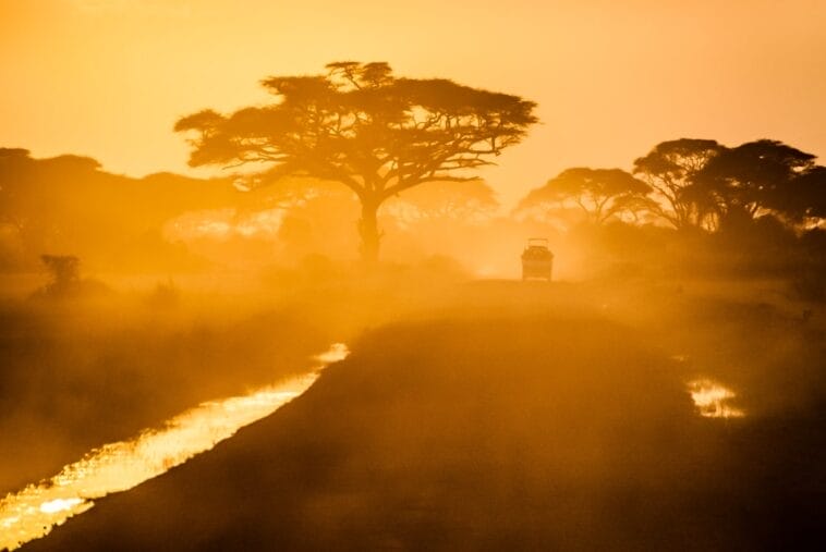Photo Luxury Safari