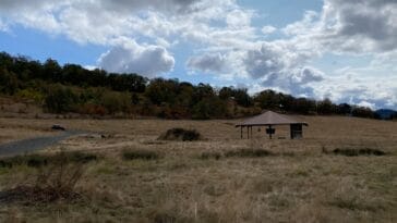 Photo Wildlife Safari