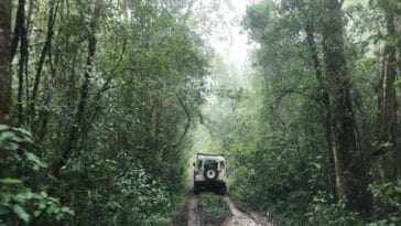 Photo Safari vehicle