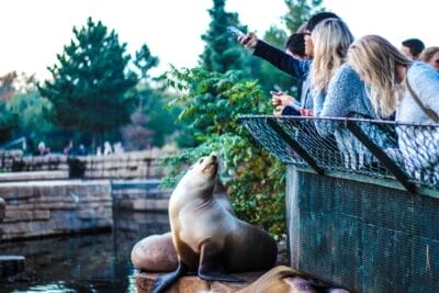 Photo Wildlife encounter