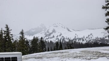 Photo Beachfront paradise