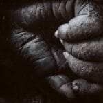 Photo Wildlife conservation