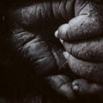 Photo Wildlife conservation