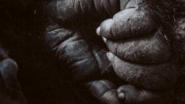 Photo Wildlife conservation