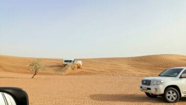 Photo Safari vehicle