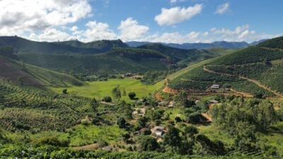 Photo Coffee plantation