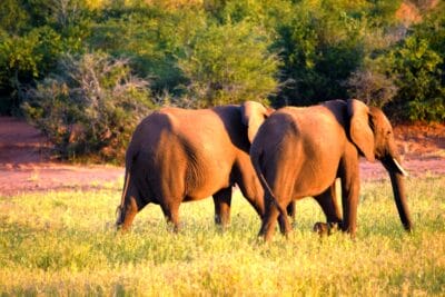 Photo Great Zimbabwe
