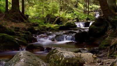 Photo Nature Retreat