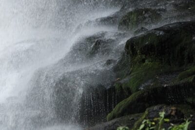Photo Eastern Highlands