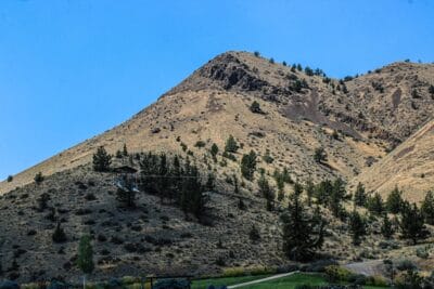 Photo Sable antelope