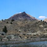 Photo Sable antelope