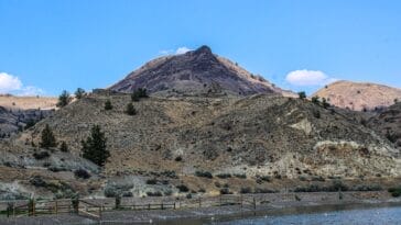 Photo Sable antelope