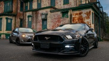 Photo Eastern Highlands