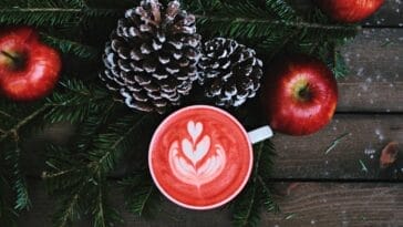 Photo Harare: "Artisanal Coffee" Bulawayo: "Cozy Atmosphere"