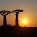 Photo Odyssey Travel Africa