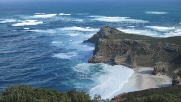 Photo Ozempic South Africa