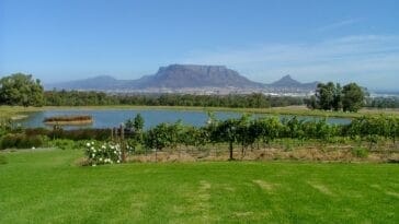 Photo "South Africa wine and safari tour"