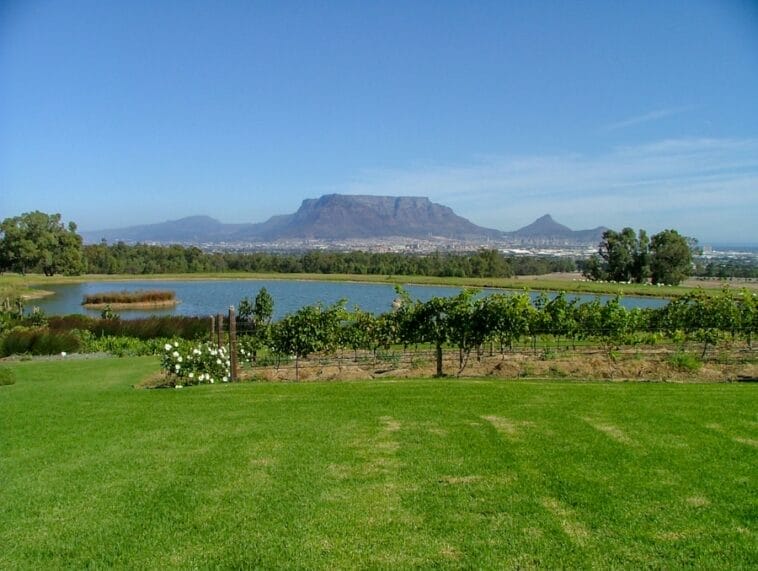 Photo "South Africa wine and safari tour"