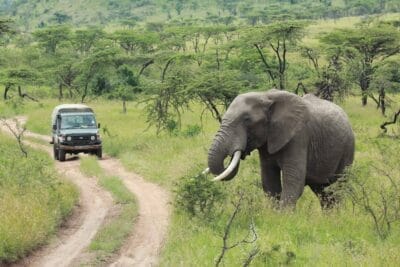 Photo "South Africa wine and safari tour"