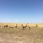 Photo South Africa bike tour