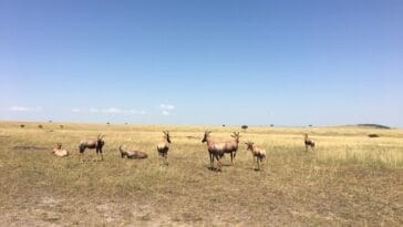 Photo South Africa bike tour