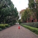 Photo University of Pretoria South Africa