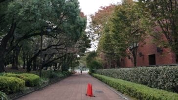 Photo University of Pretoria South Africa