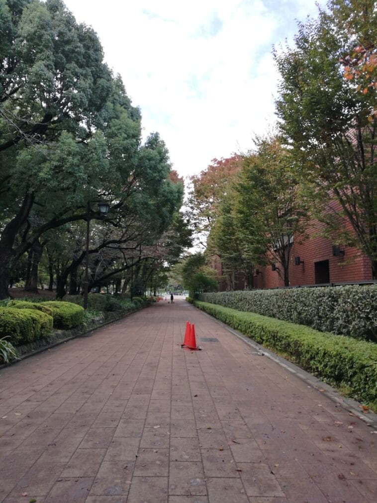 Photo University of Pretoria South Africa